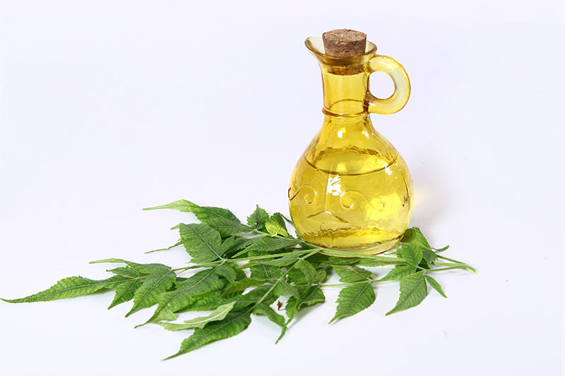 Neem Oil